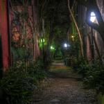 Ghost City Tours