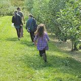 Jeter Mountain Farm Apple Orchard