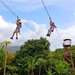 Jungle ATV Tour, Ziplining, and Cenote Swim