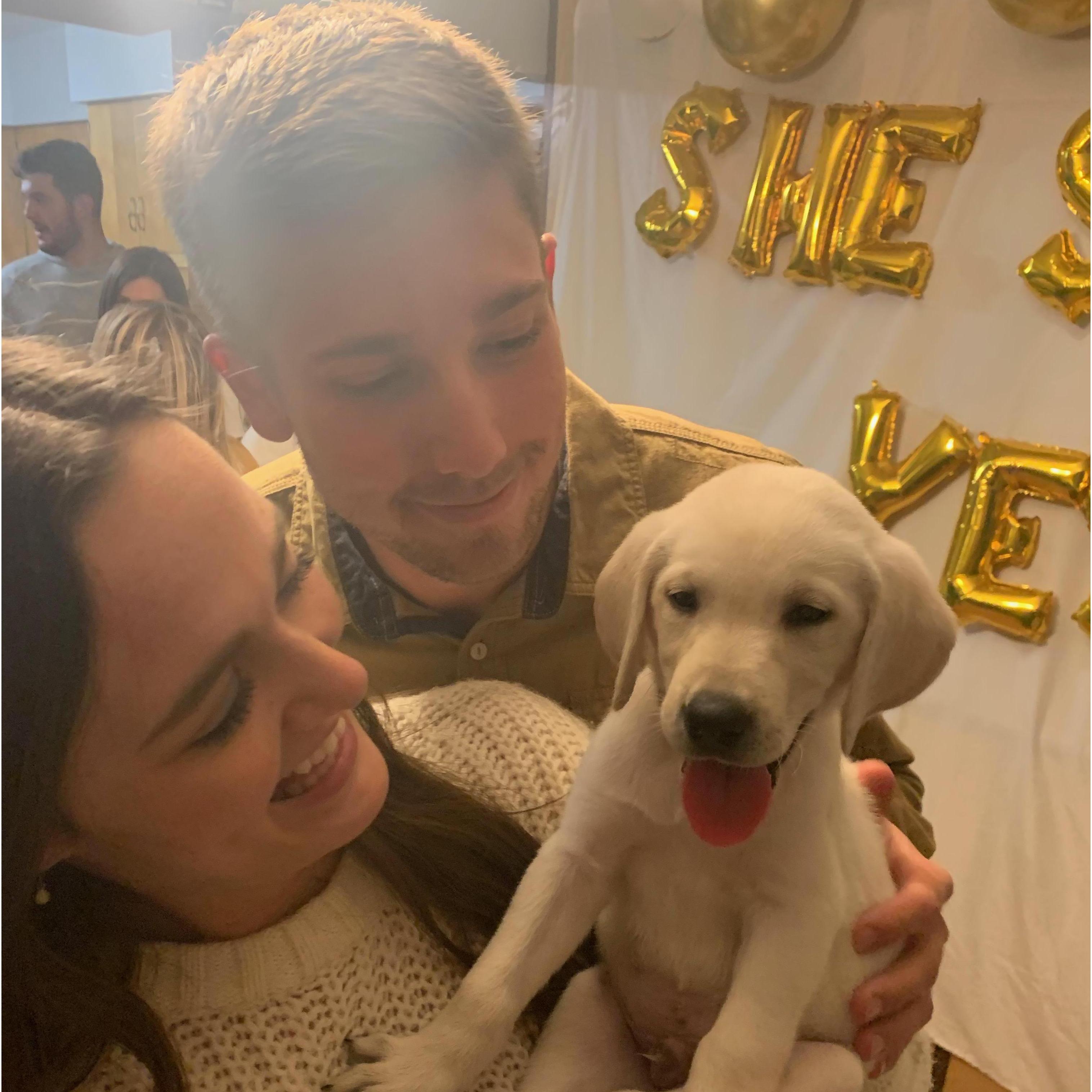 2020 - the day we brought Hayes home at 7 weeks!