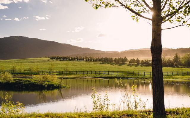 The Wedding Website of Jenn Hardey and Steve McKitterick