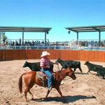 New Mexico Farm and Ranch Heritage Museum