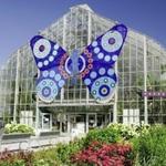 Krohn Conservatory