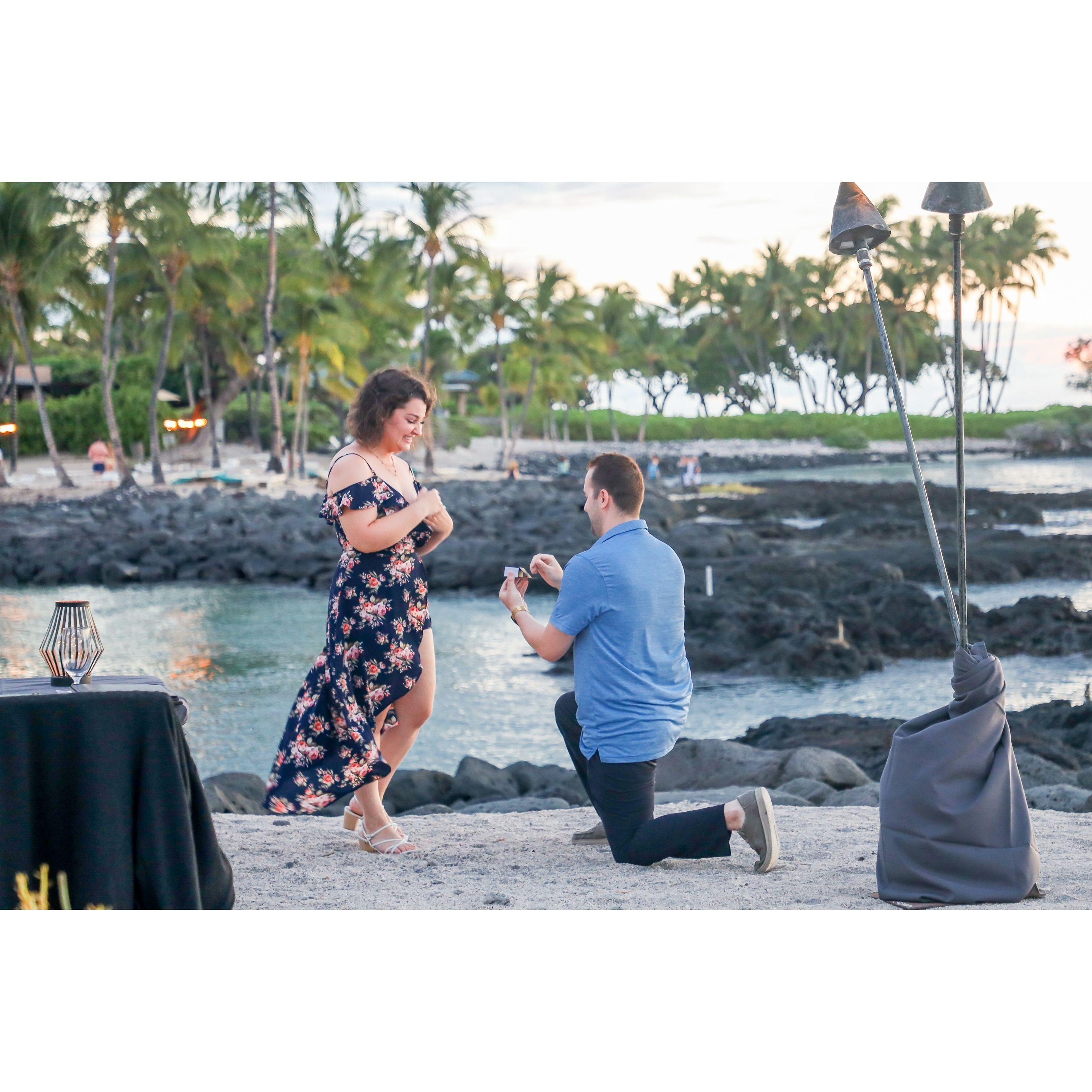 Hawaii 2021: Where we got engaged!