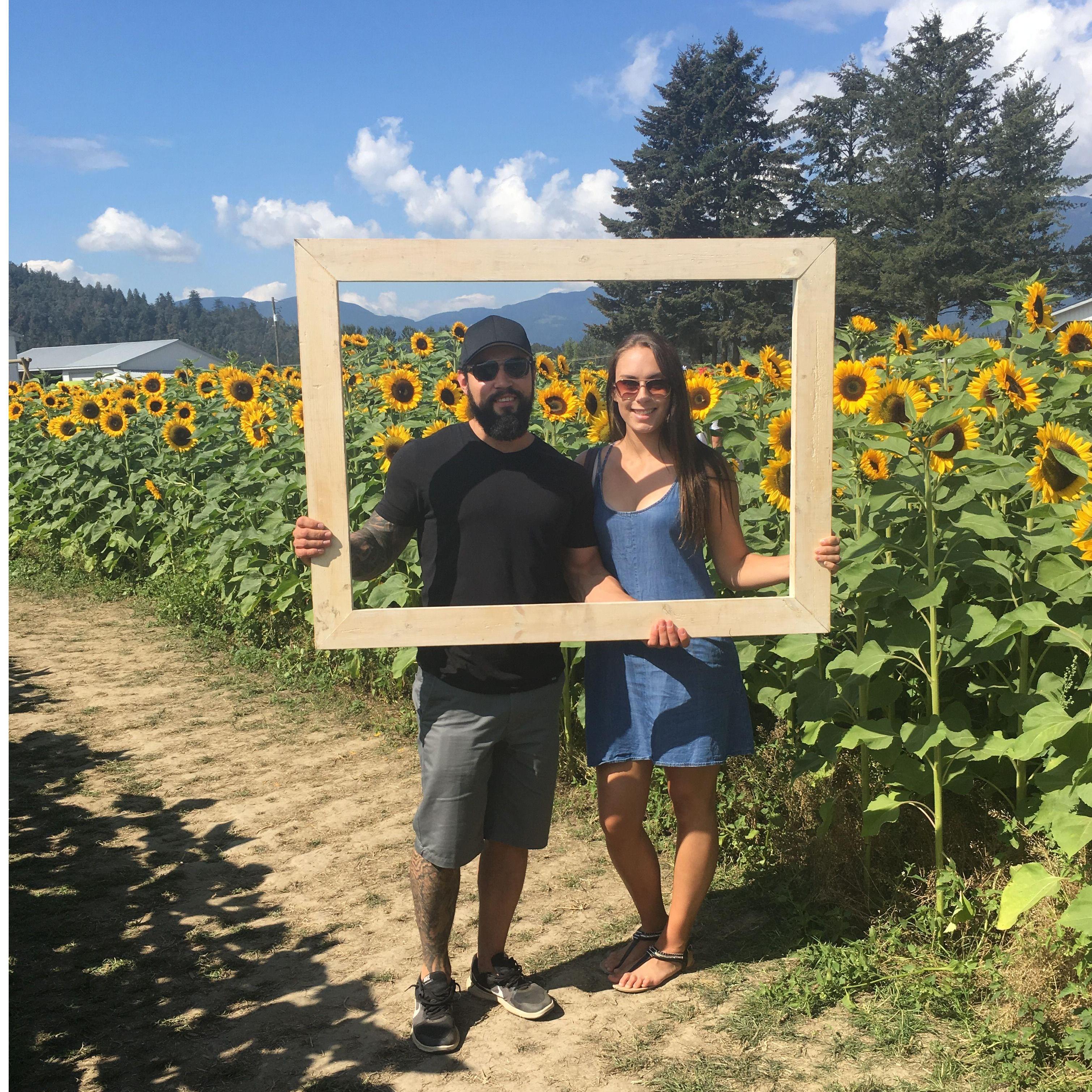 Sunflower Festival, BC