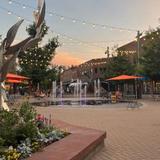 Downtown Fort Collins