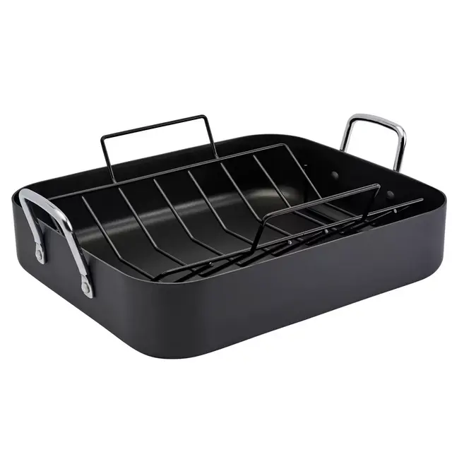 Our Table™ 16.5-Inch Hard Anodized Roaster with Rack