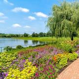 Chicago Botanic Garden