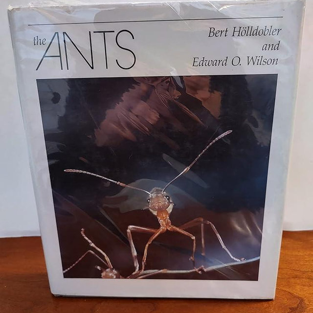 The Ants