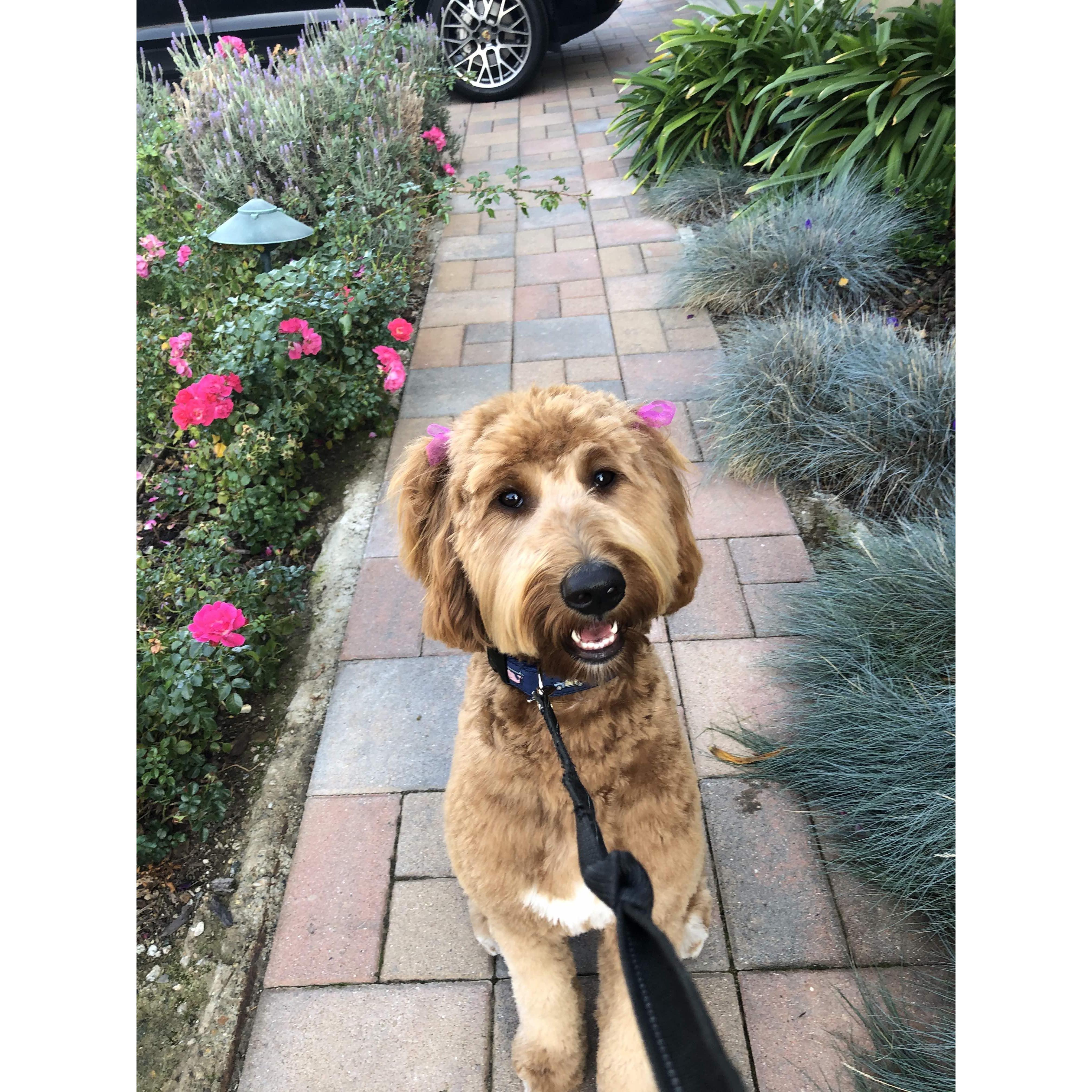 Post groomers 2019