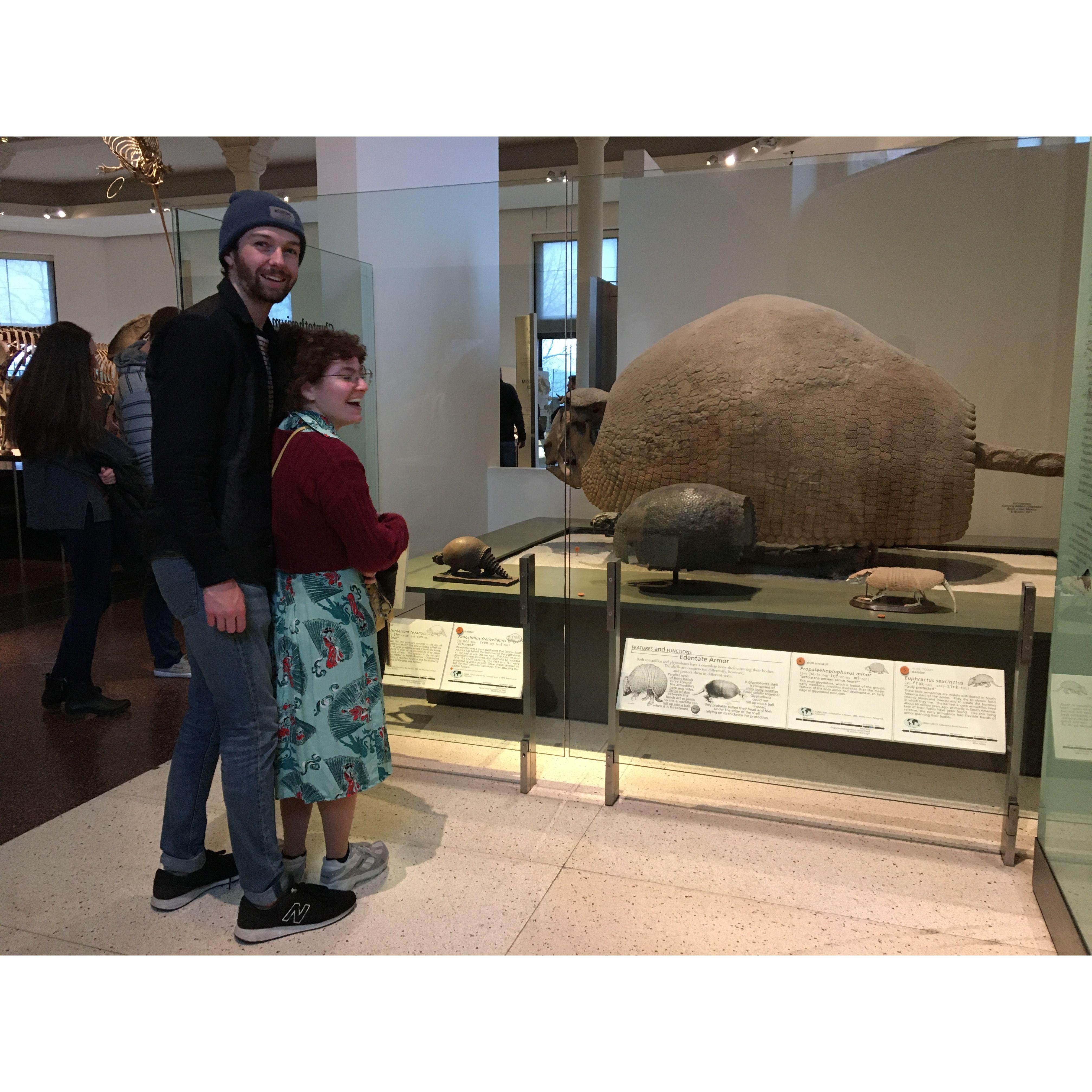 Natural History Museum NYC in 2020