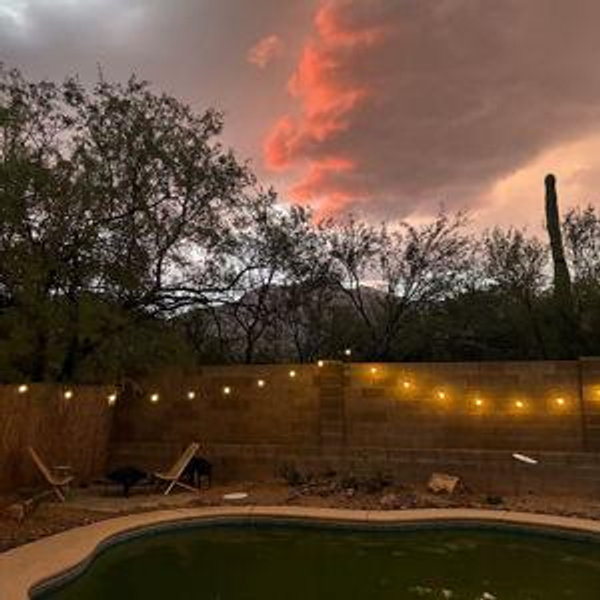 Backyard Oasis