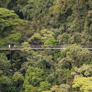 Horseback Riding and Hanging Bridges Tour