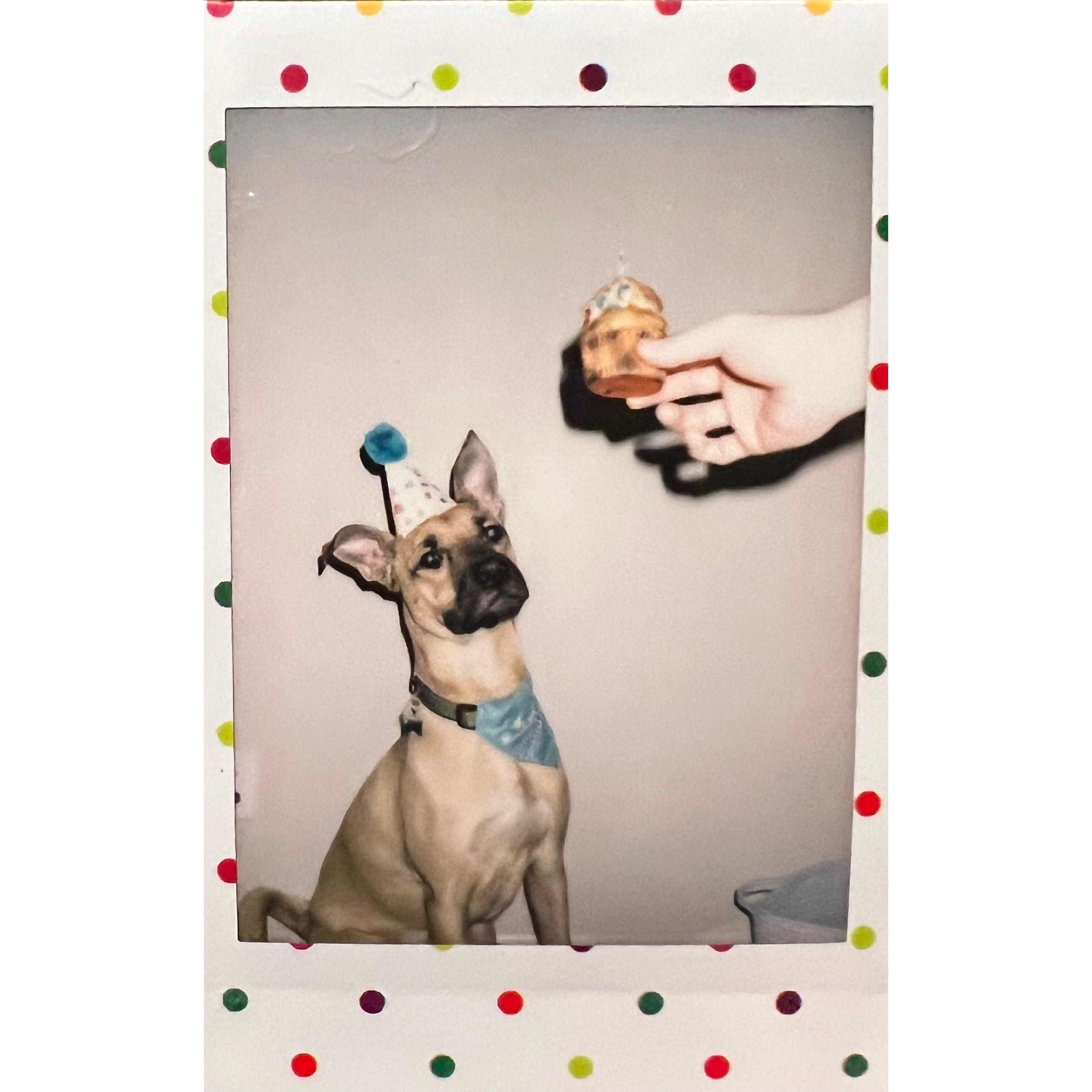 Pluto's first birthday