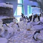 Detroit Zoo