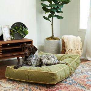 HAPPY HOUNDS Bailey Rectangle Pillow Dog Bed with Removable Cover, Moss, Medium - Chewy.com