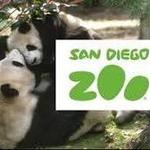 San Diego Zoo