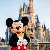 Walt Disney World® Resort