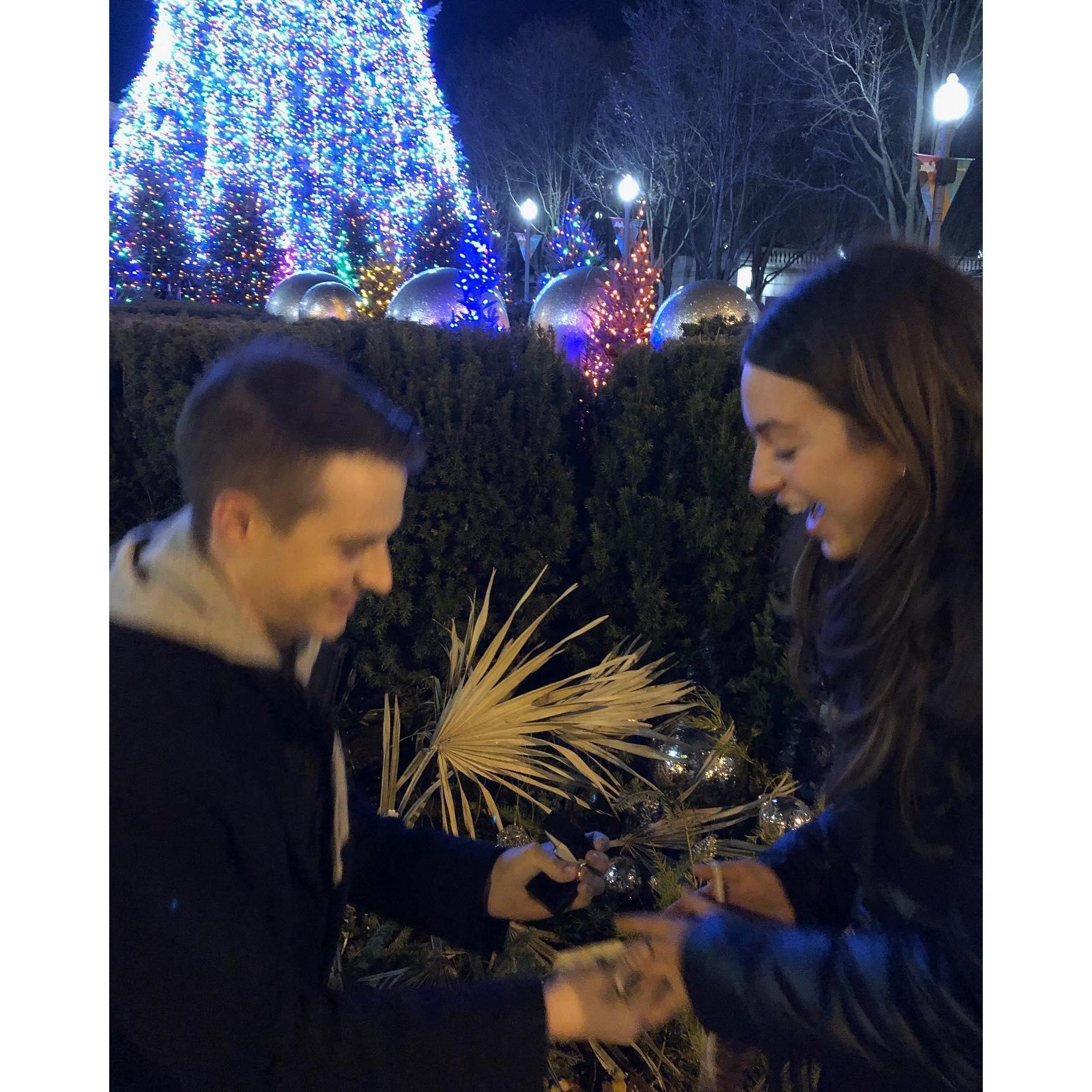 The proposal December 2020
