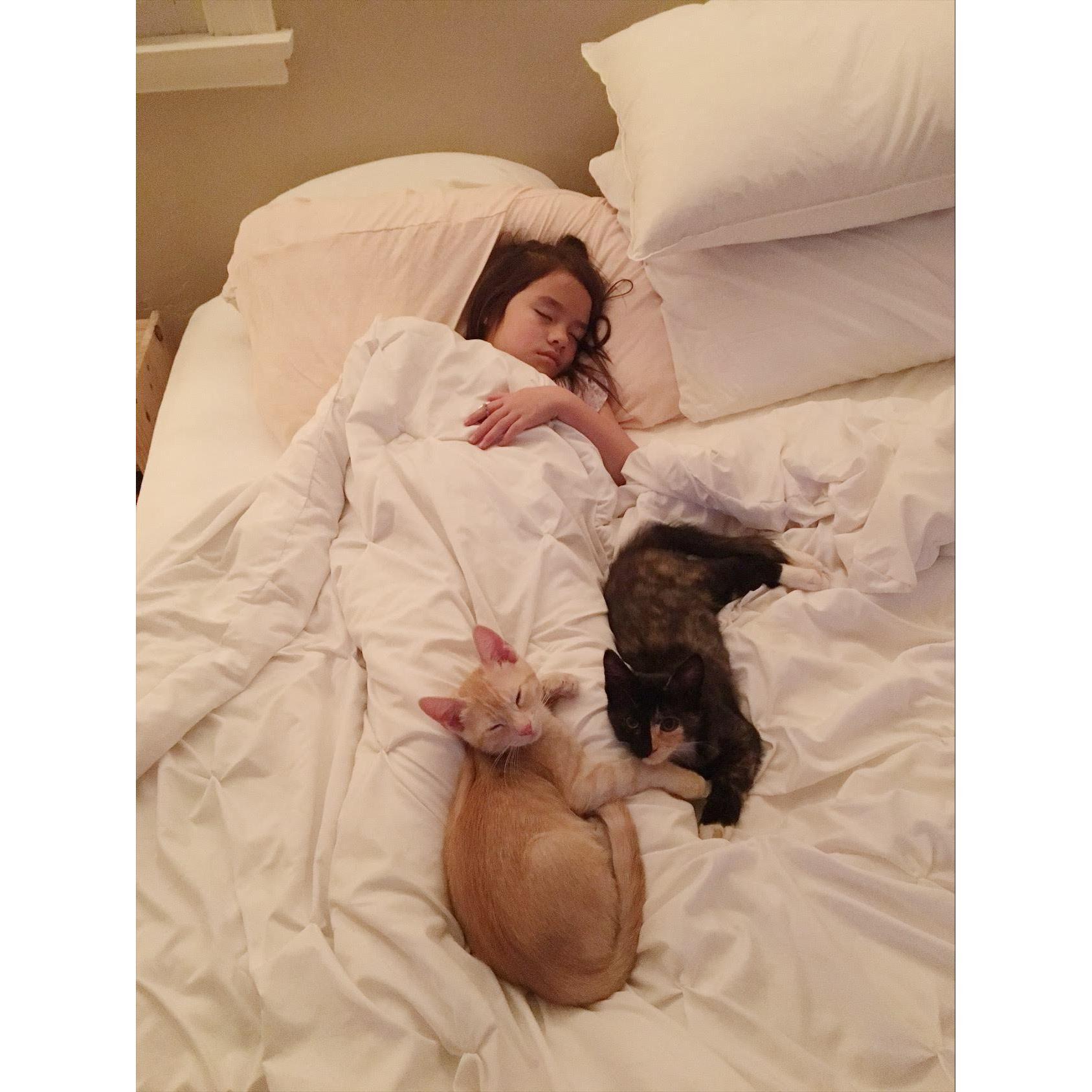 Kitties watching over sick Maliyah