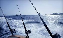 Chesapeake Bay sport fishing