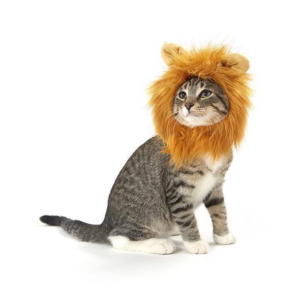 Lion Cat Costume