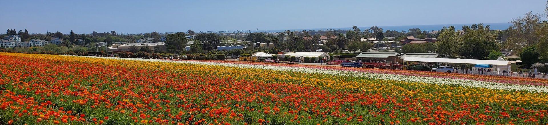 The Wedding Website of Shalyn Gallegos and Dominic Sanchez