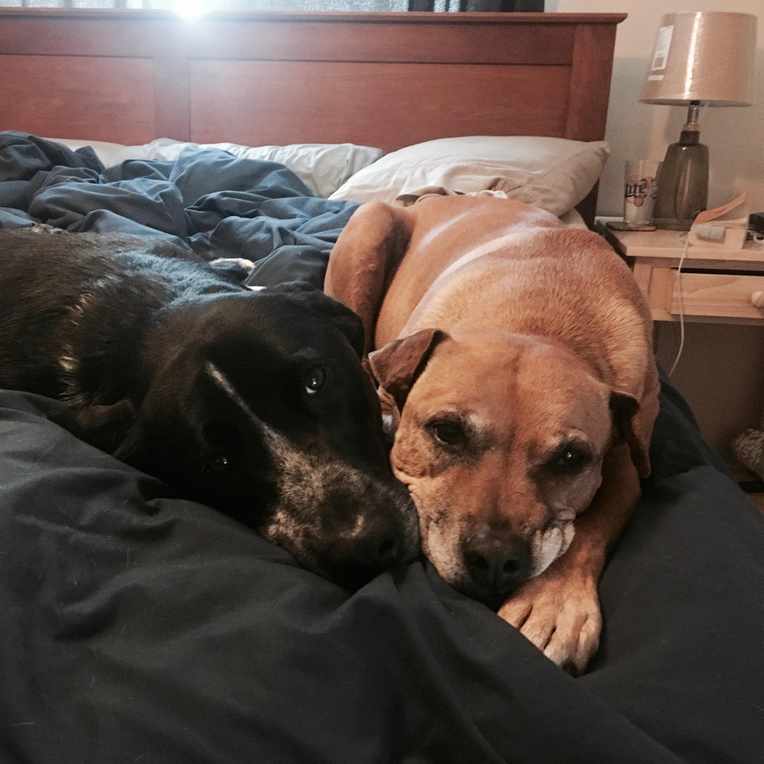 Our favorite friends get along ok, so that's good.