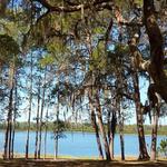 Doe Lake Campground - Ocala National Forest