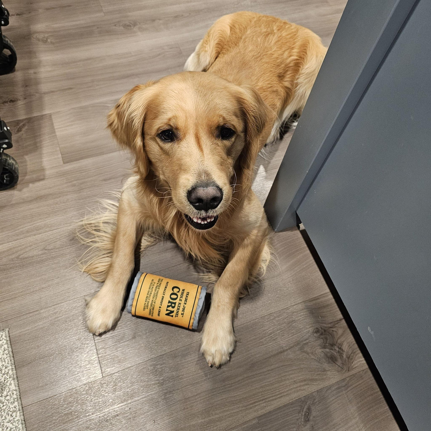 Louie and his Corn