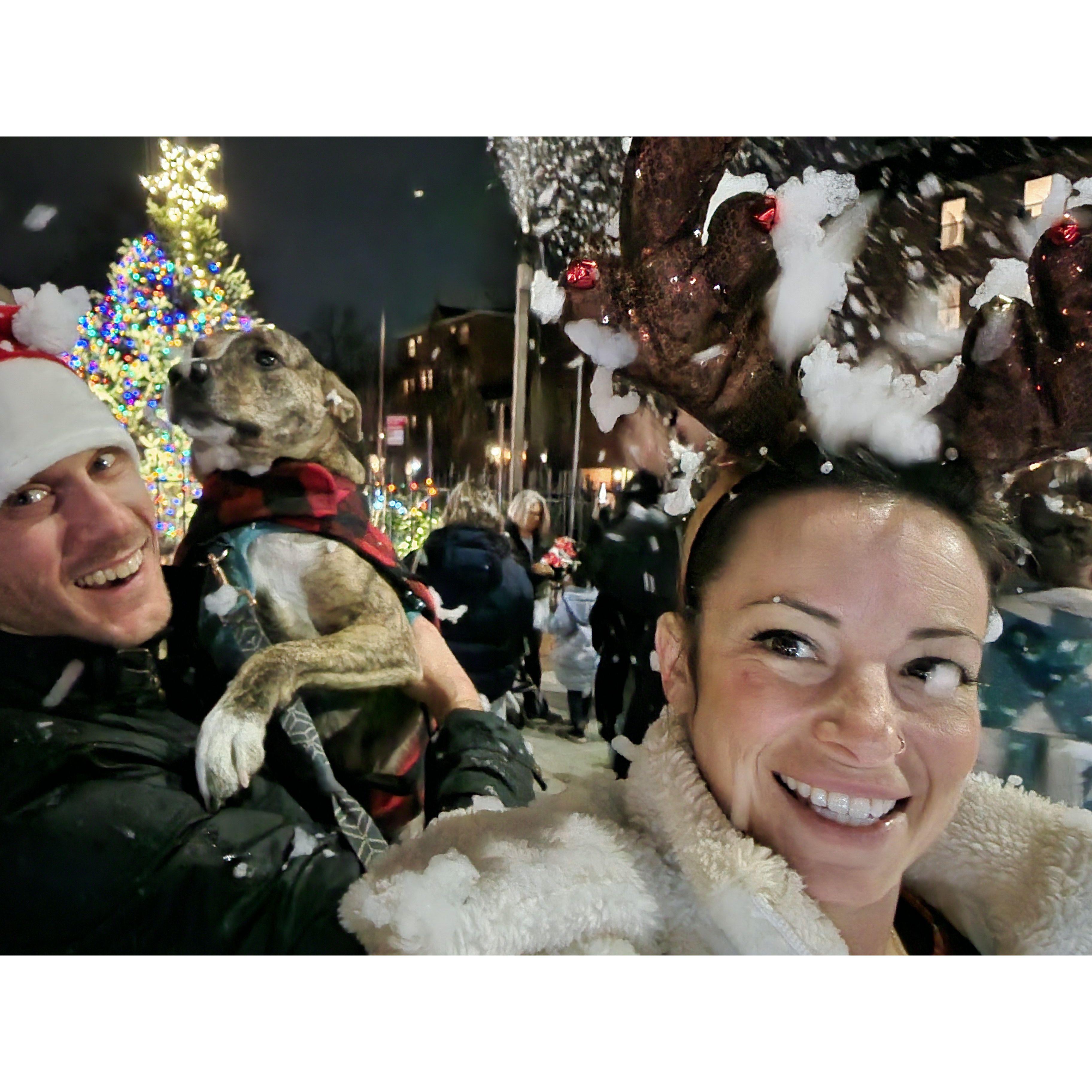 The holiday favorite, Carroll Gardens tree lighting!