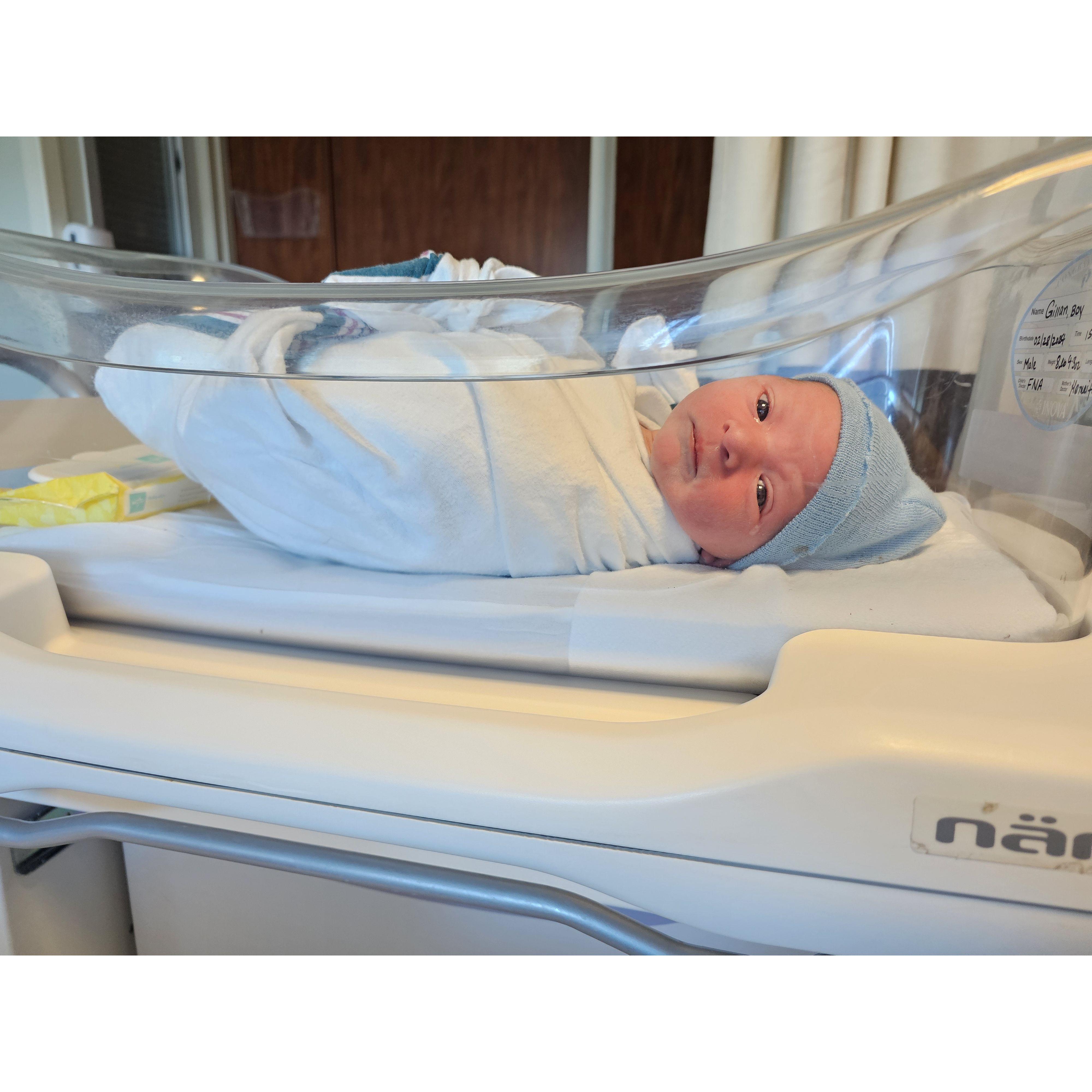 Becoming a family of 5!