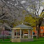 Berkeley Springs