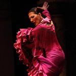 Flamenco Dance Museum