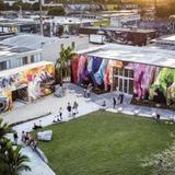 Wynwood