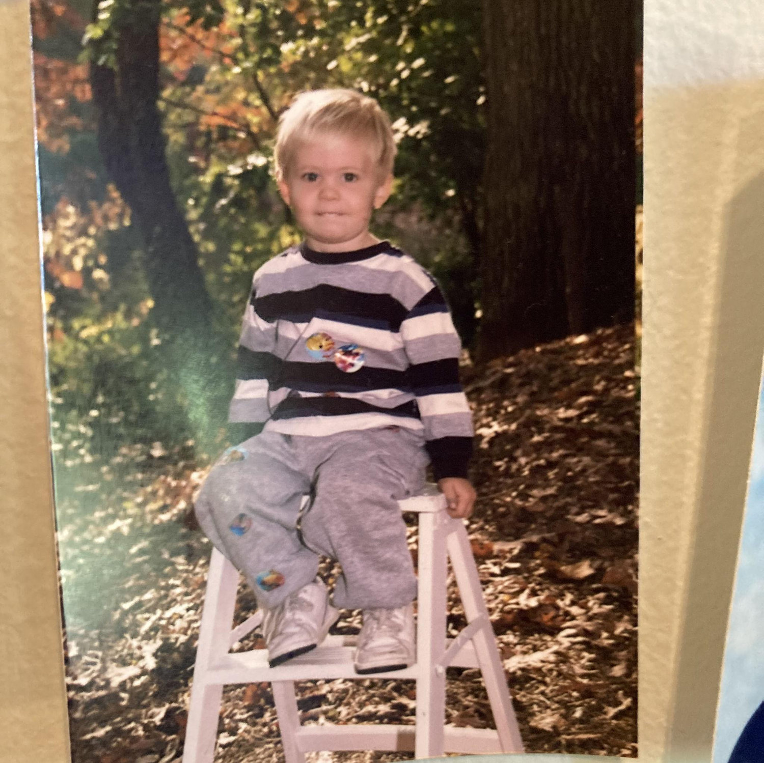 Little Beau