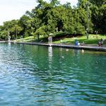 Barton Springs Municipal Pool