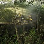 Emotions Native Park