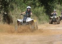 Excursions/Tours