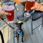 Black Mountain Brewing