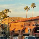 Bloom Restaurant + Bar