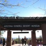Arizona-Sonora Desert Museum