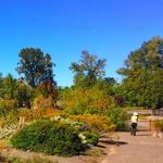 Alton Baker Park