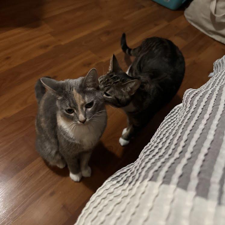 Dolly and Olive