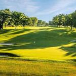 Play Golf!
