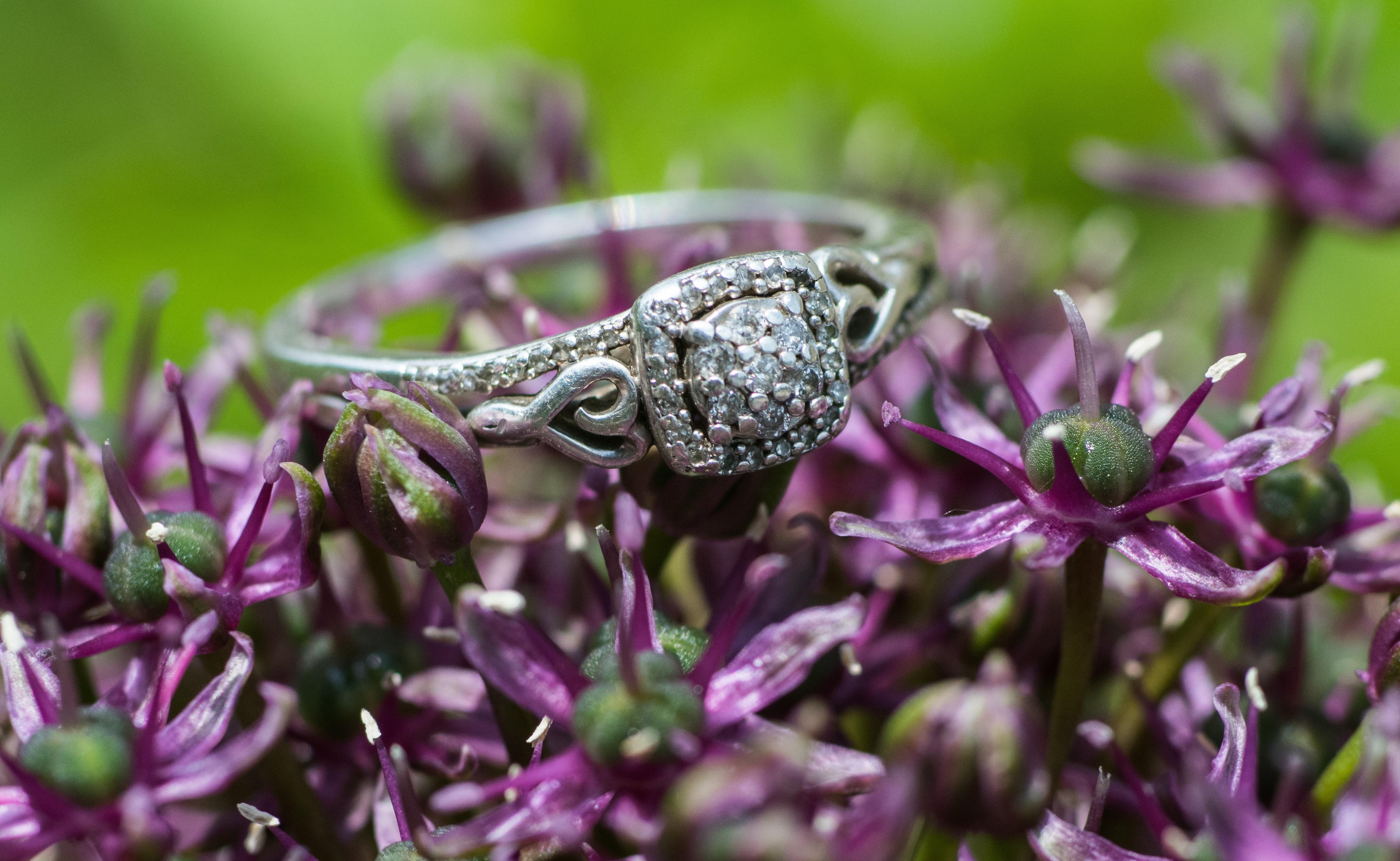 The Wedding Website of Erin Waldroff and Gannon Schaffner