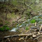 Dunning's Spring Park