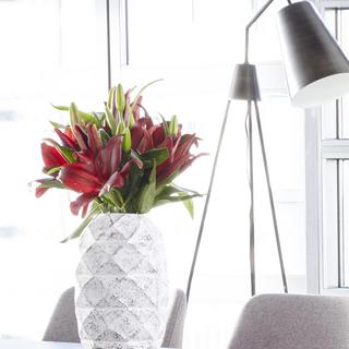 Jupiter Vase
