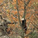 Smithsonian National Zoological Park