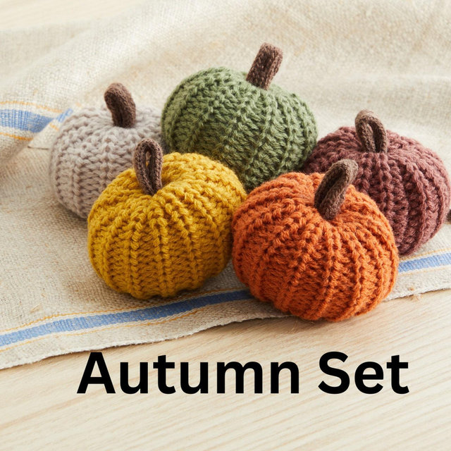 Mini Knit Pumpkins Set of 5 autumn bowl fillers, decorative pumpkins for table, fall pumpkin tray decor for coffee table, farmhouse mantel